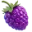 Fruits